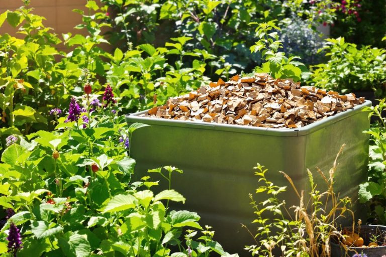 Compost au jardin : l’erreur n°1 qui attire les rats et compromet tout votre potager.jpg